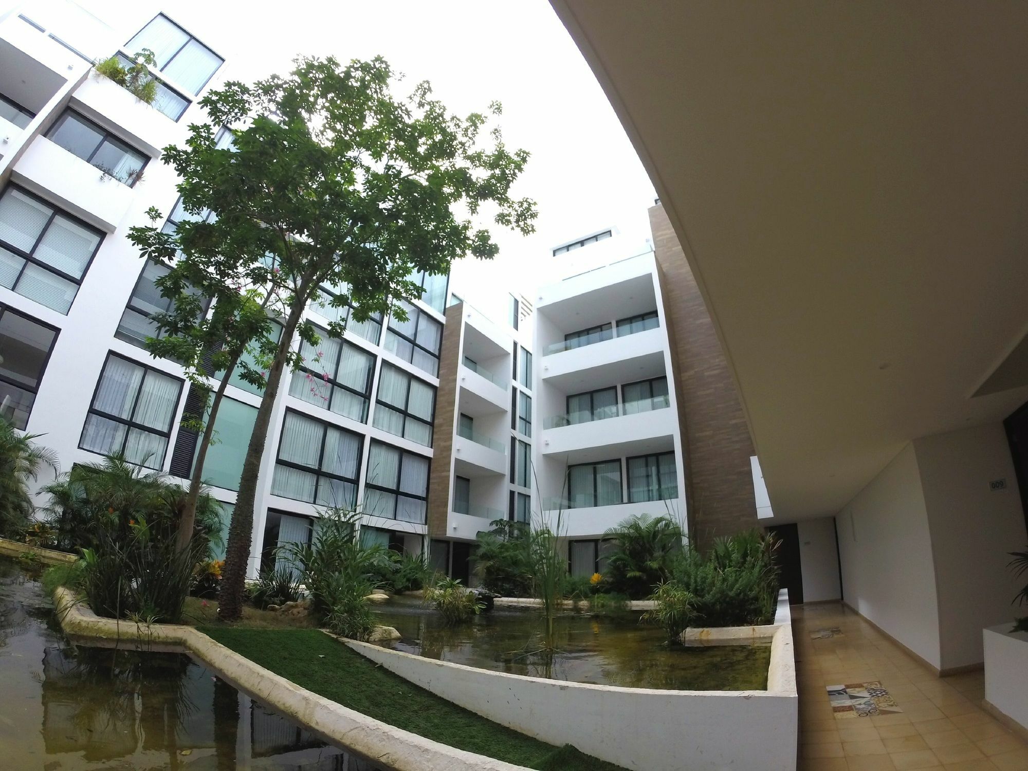 פלאייה דל כרמן Anah Luxury Condos By Baitna מראה חיצוני תמונה